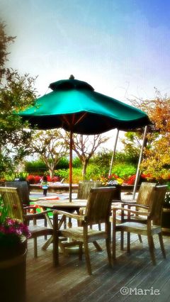 Good afternoon dear friends! Just finish my work and now I'm looking a place to seat ....
Huh ! it was a busy day again .... and let me say Thank-you very much for the lots of Likes and Comments on my post the early morning.
Hope everybody is enjoying the day !