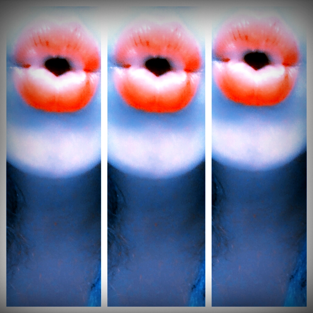 Picsart profile picture for @femmes