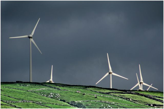 pictures of Terceira Island